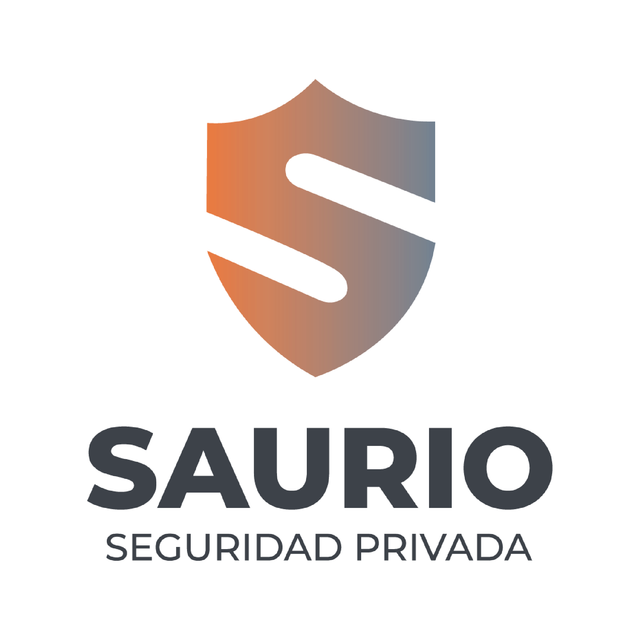 SAURIO SRL