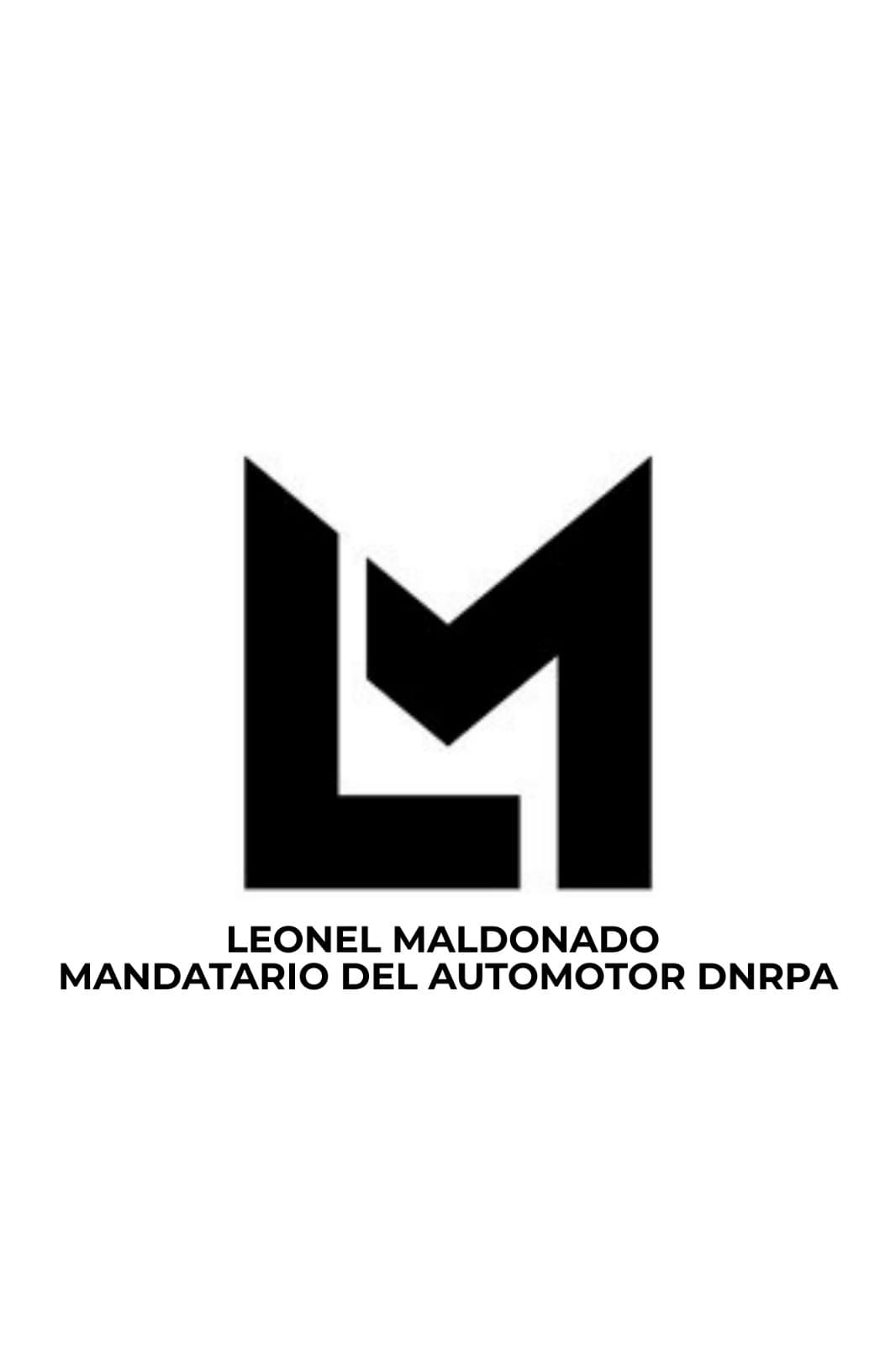 Gestor del Automotor