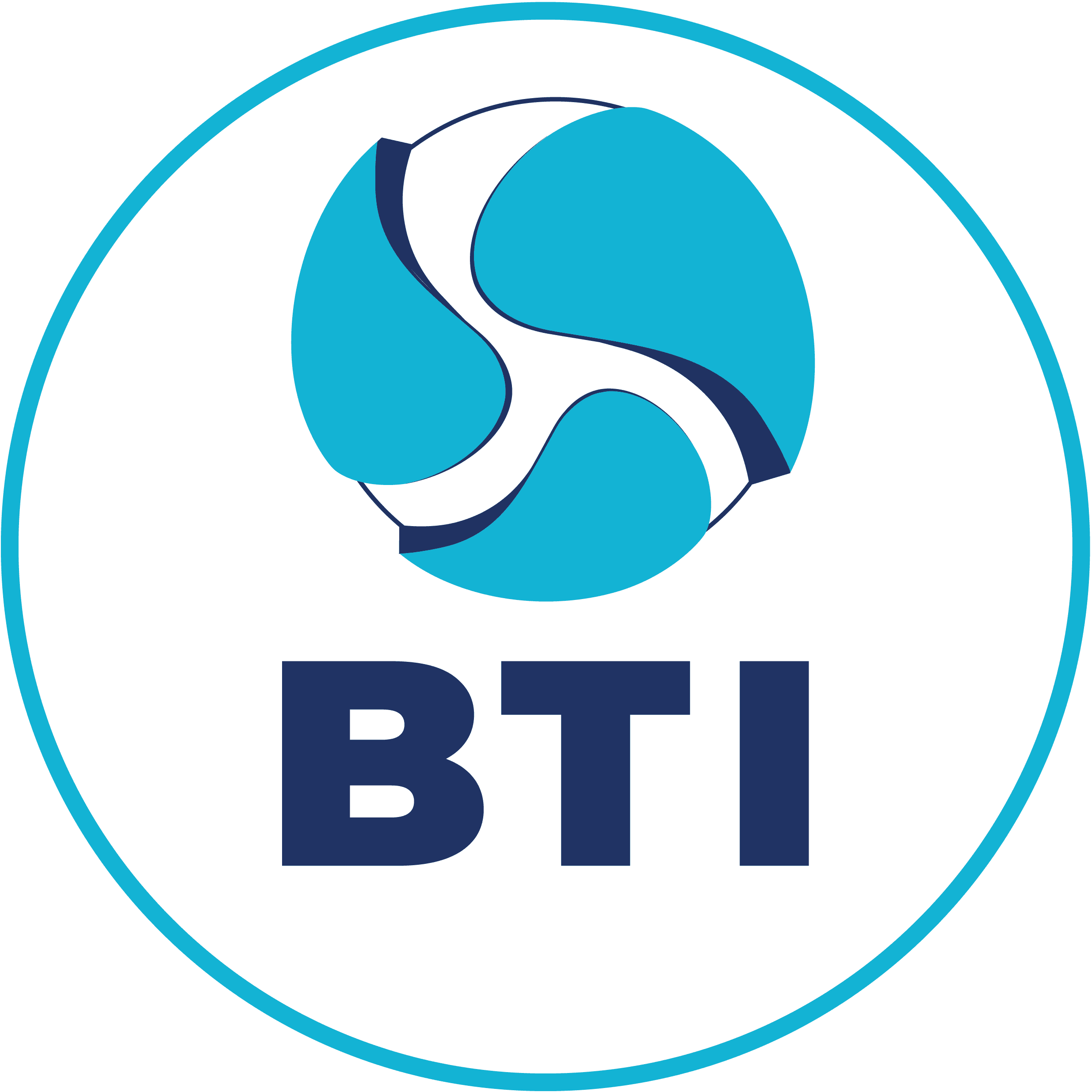 BTI Seguridad Industrial